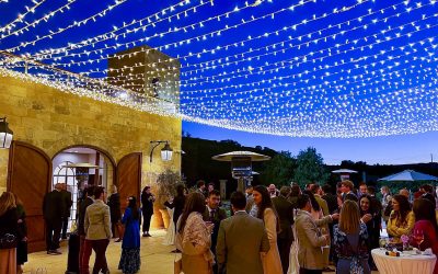 guests enjoying a beautiful wedding at Ta Betta Wine Estates